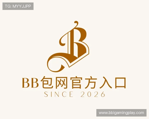 解读BB包网官方入口
